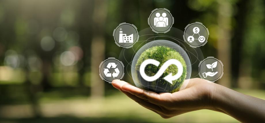 "Impact Native": when sustainability is at the heart of entrepreneurship 