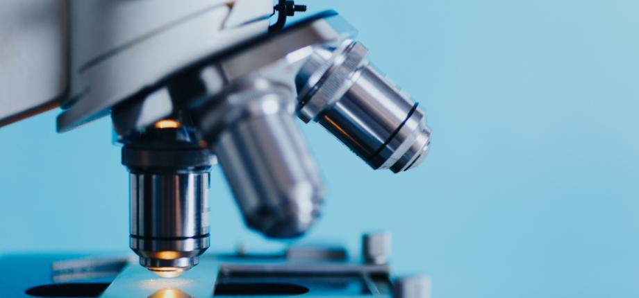 Master Year 2 in Biology, Biotechnology and Health