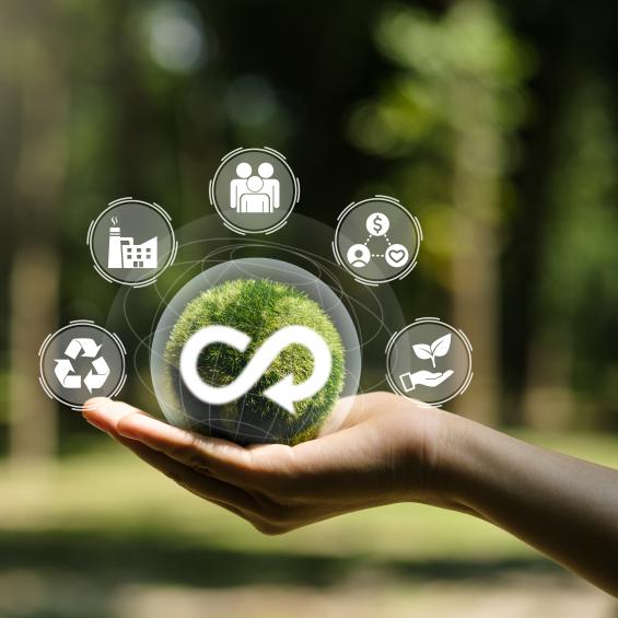 "Impact Native": when sustainability is at the heart of entrepreneurship 