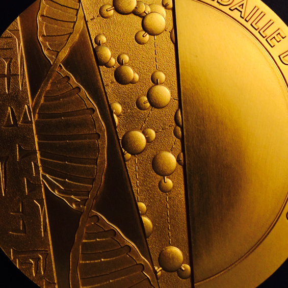 Trois chercheurs de l’Institut Polytechnique de Paris médaillés du CNRS